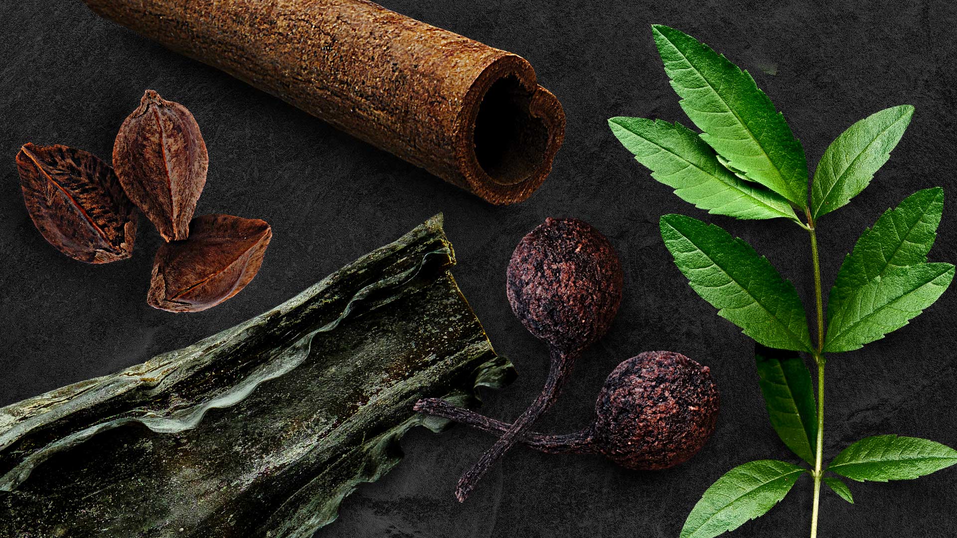 Giants Basalt Rock Gin Ingredients