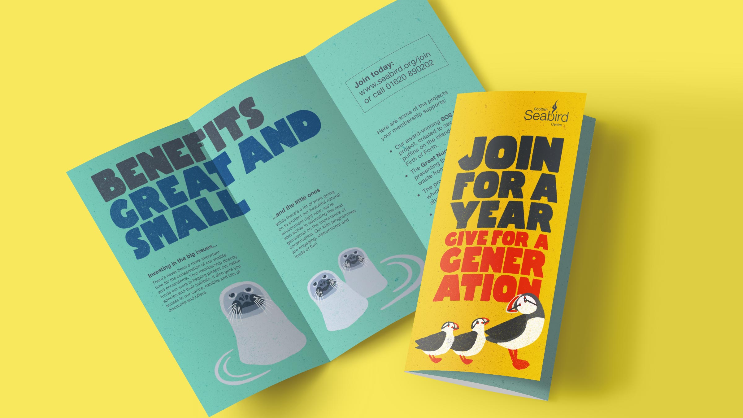 Scottish Seabird Centre membership campaign branding visual identity by Monumentum Brands